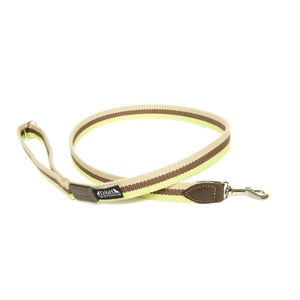 Green, Brown & Cream Wide Striped Webbing Lead
