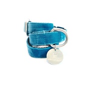 Percy & Co - Dog Collar - Constantine