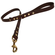 Creature Clothes - Chocolate Brass Stars Classic Leather Dog Lead