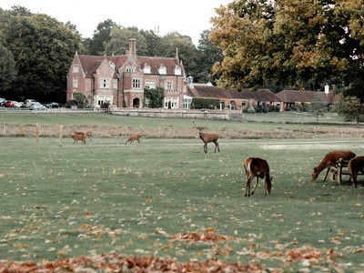 Burley Manor Country Spa Hotel, Hampshire