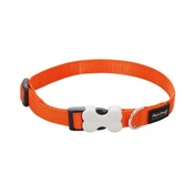 Red Dingo - Plain Dog Collar - Orange