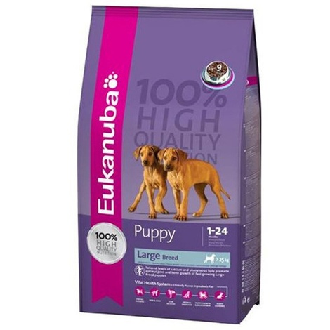 eukanuba junior large breed