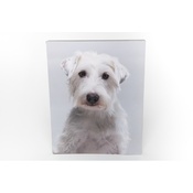 PetsPyjamas - Personalised Wooden Photo