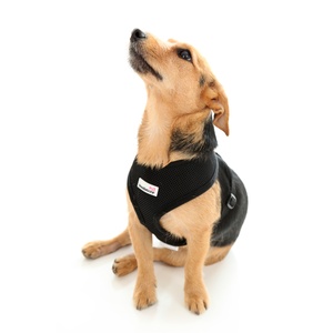 Airmesh Dog Harness – Black