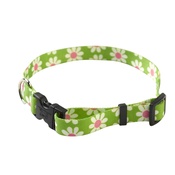 Yellow Dog - Green Daisy Collar