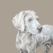 Paint My Dog - Weimaraner Medium Art Print