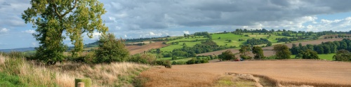 Dog-Friendly Holidays Gloucestershire