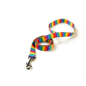 Rainbow Stripes Lead