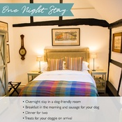 PetsPyjamas - Merry Harriers Exclusive One Night Stay Voucher