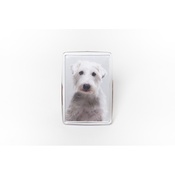 PetsPyjamas - Personalised Pet Magnet