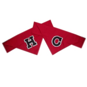Varsity Dog and Cat Bandana Red
