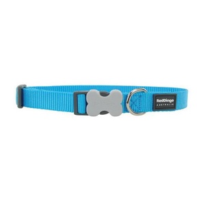 Red Dingo Plain Dog Collar - Turquoise