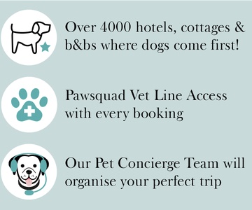  Understanding the Compassionate Services of Blue Pearl Pet Hospice Houston: A Guide for Pet Owners