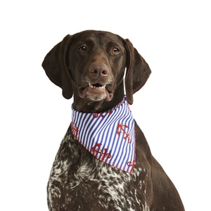 Anchors Away Dog Bandana