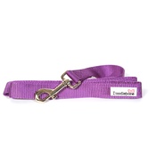 Doodlebone - Bold Dog Lead – Purple