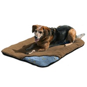 Kurgo - Wander Bed