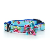 Pet Pooch Boutique - Blue Vintage Collar with Flower Accessory