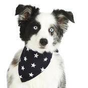 Pet Pooch Boutique - Navy Blue Star Bandana