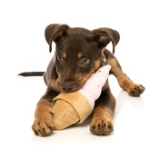 FuzzYard - Ice Cream Cone Dog Toy
