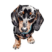 Studio Legohead - Personalised Pet Portrait