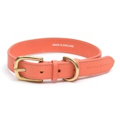 Mutts & Hounds - Coral Leather Dog Collar
