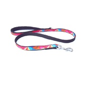 K9 CREW - K9CREW Rainbow Walking Lead