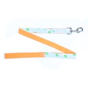 Pet Pooch Boutique - Pineapple Dog Lead