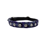 Hem & Boo - Leopard Print Cat Collar - Blue