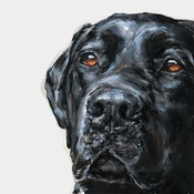 Paint My Dog - Black Labrador Blues Art Print