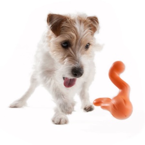 Zogoflex® Tizzi Dog Toy – Tangerine