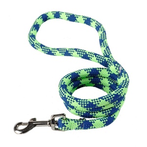 Braided Dog Lead – Fluorescent Green & Blue