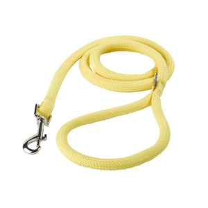 Braided Dog Lead – Daffodil Yellow