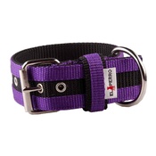 El Perro - Juicy Strip Dog Collar - Purple