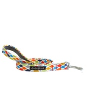 Salt Dog Studios - Salt Dog Studio Harlequin Dog Lead