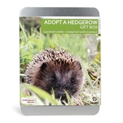 Gift Republic - Adopt A Hedgerow