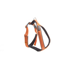 Ami Play Cotton Half Check Collar - Orange