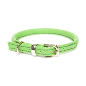 Dogs & Horses - D&H Rolled Leather Collar - Green