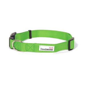 Bold Dog Collar – Green