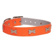 Creature Clothes - Galaxy Dog Collar - Orange, Nickel Bones