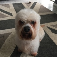 Hugo