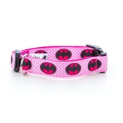 Pet Pooch Boutique - Batgirl Dog Collar 1" Width