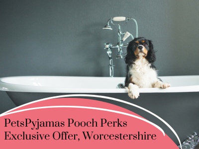 PetsPyjamas Pooch Perks Exclusive Offer, Worcestershire