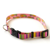 Yellow Dog - Pink Stripes Paisley Collar