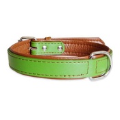 The Paws Pet Supplies - Lime Fusion Leather Dog Collar