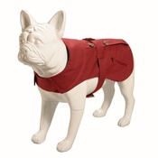 Baker & Bray - Kensington Dog Trench Coat – Burgundy & Liberty Karm