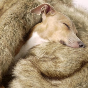 Faux-Fur & Fleece Dog Blanket - Foxy