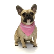 Dapper Pets - Pink Paw Indiana Dog Bandana