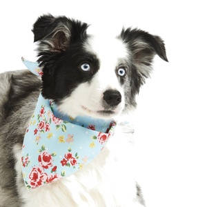 Blue Vintage Primrose Dog Bandana