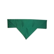 Zukie Style - Irish Green Cat And Dog Bandana