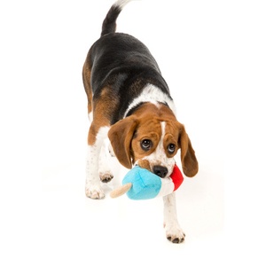 Plush Popsicle Dog Toy